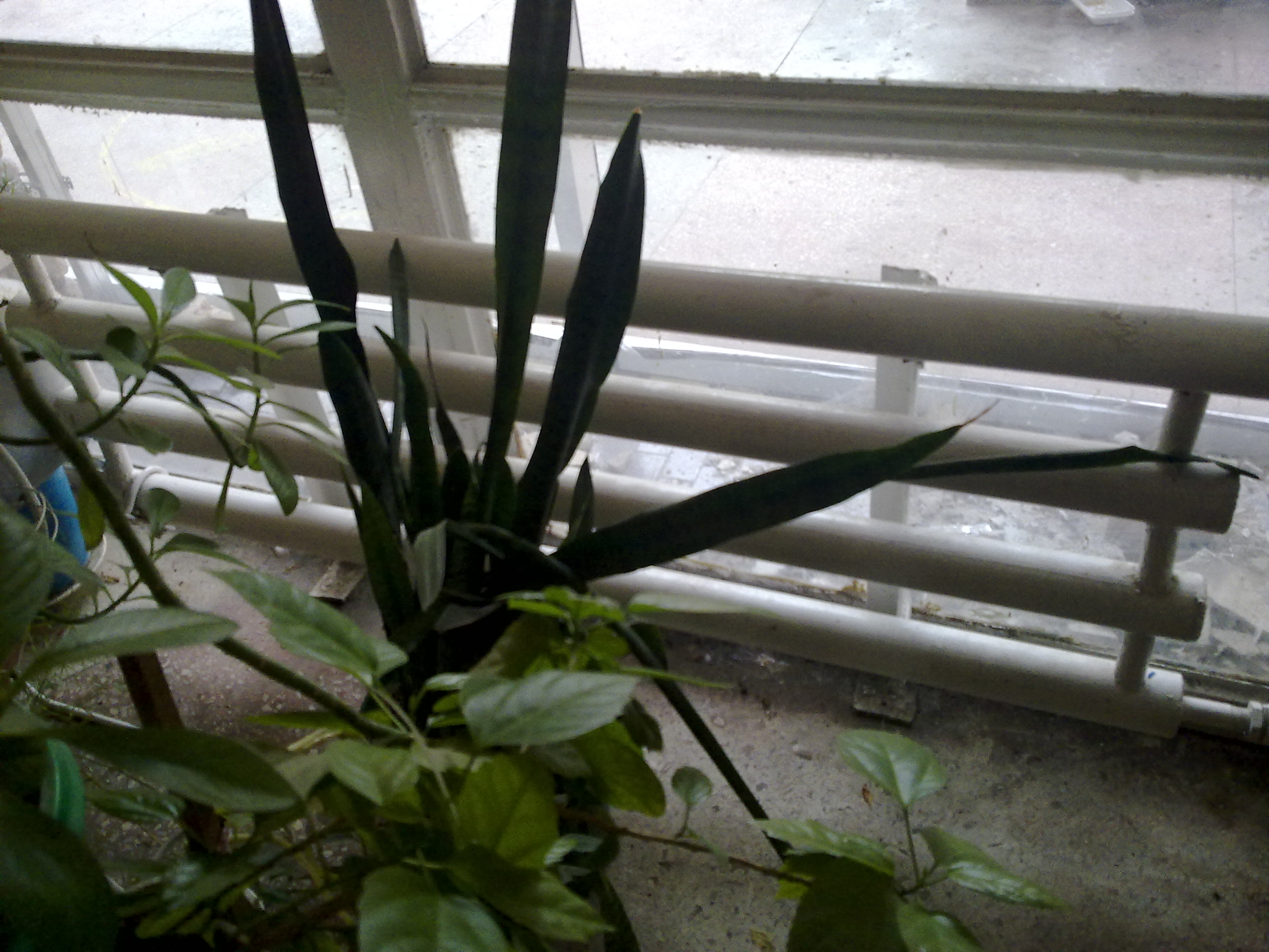 190920111151.jpg