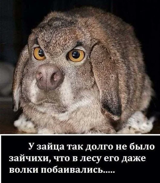 d0a03b9d403552f1ee27a930609010d8.jpg