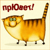 Аватара